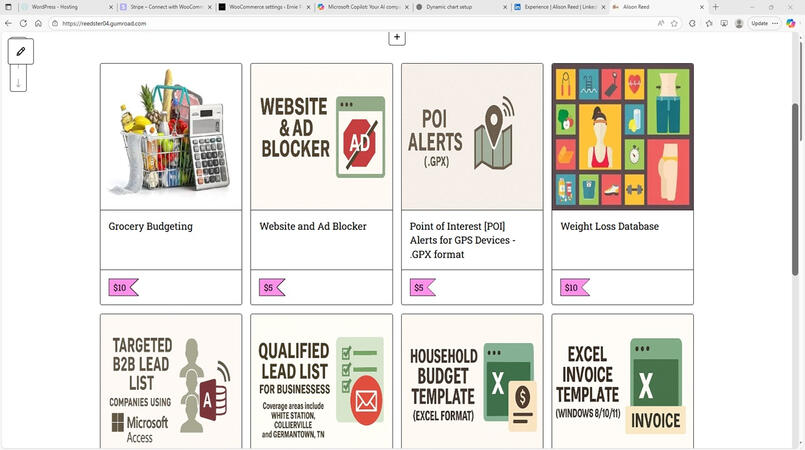 Online store for selling digital downloads.